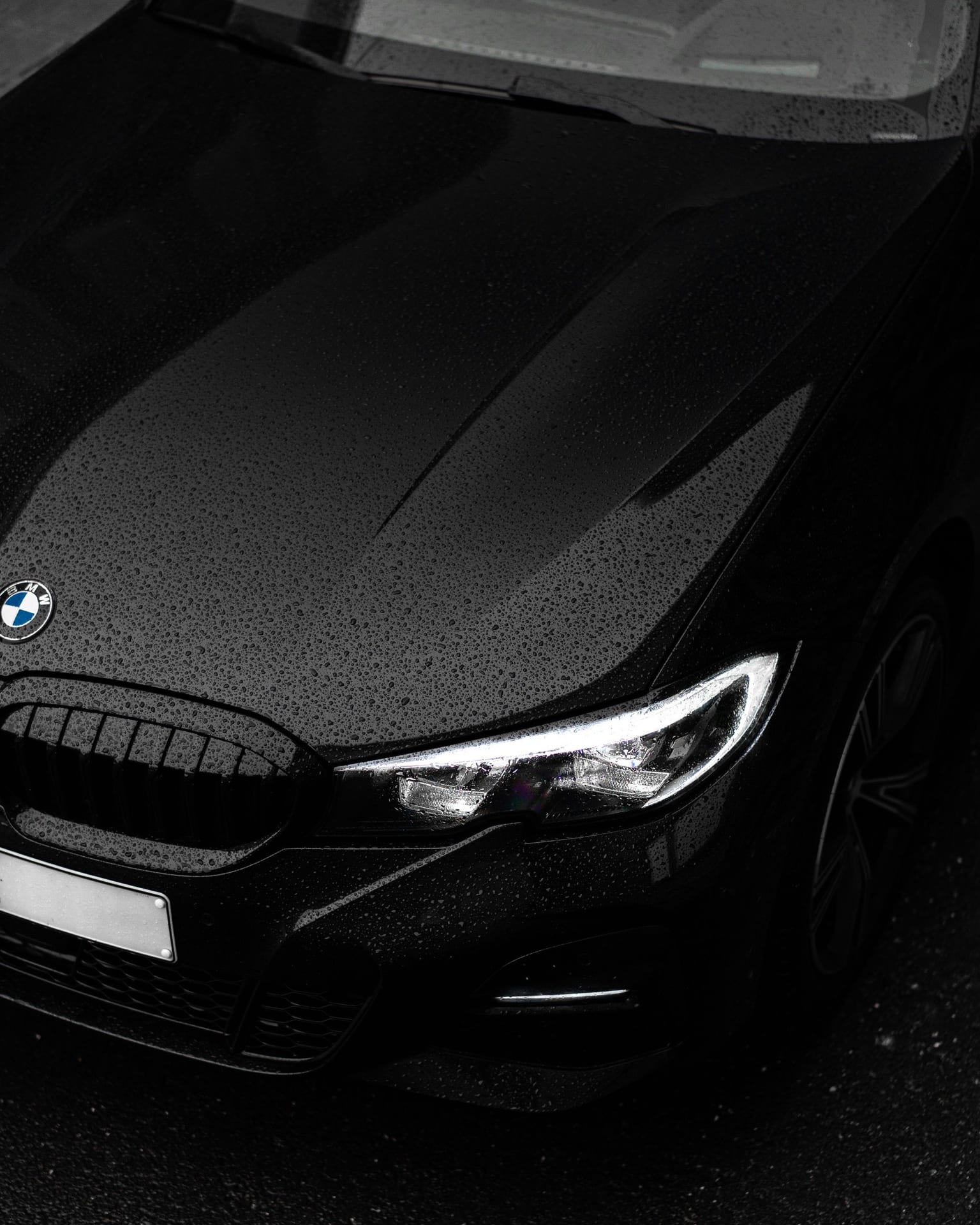 BMW on the Auto-Tune dyno for tuning and diagnostics